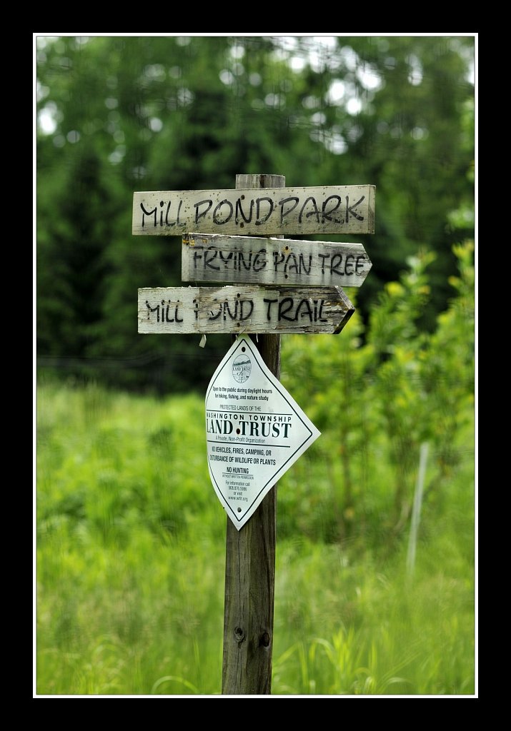 Mill Pond Park Columbia Trail