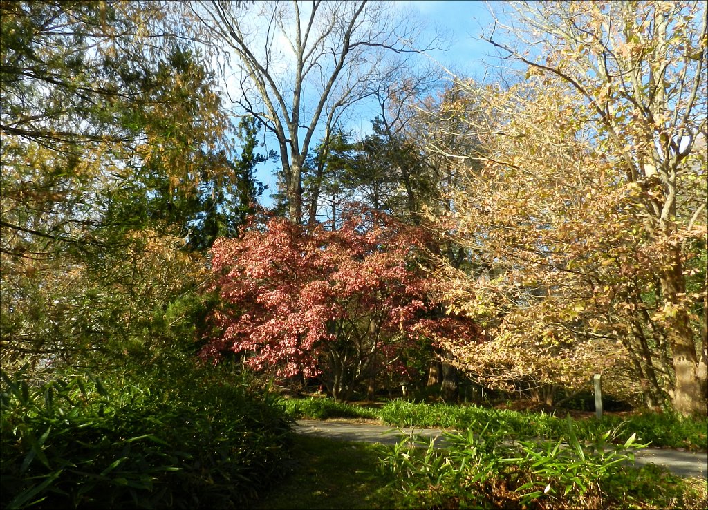 Willowwood Arboretum 