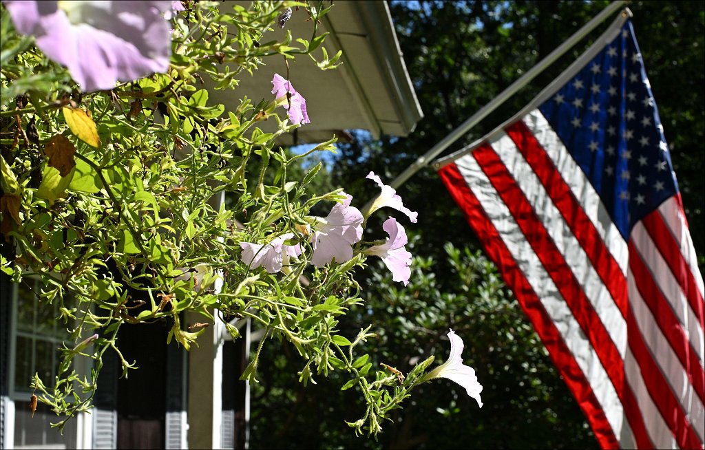 Flowers and Flag