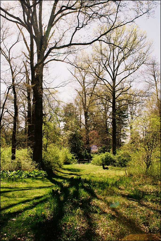 Hunterdon County Arboretum  