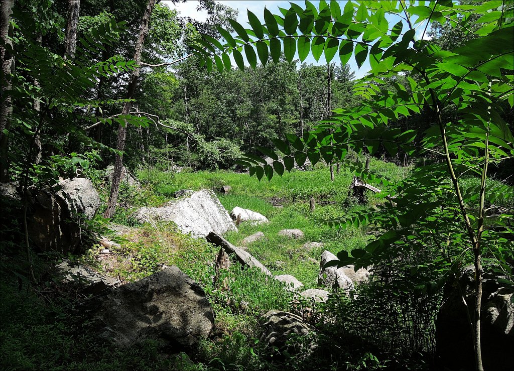 Sussex Branch Trail
