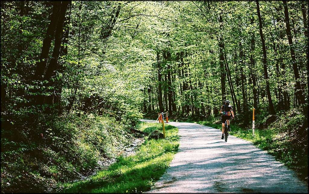Along The Columbia Trail