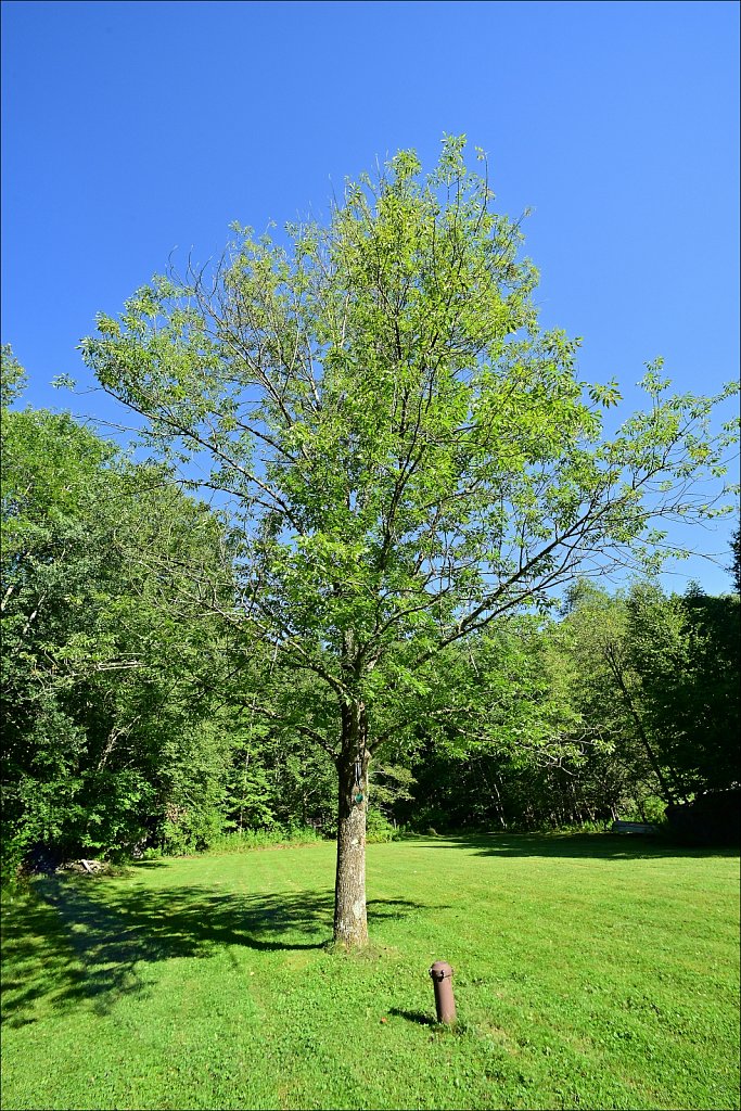 Upstate NY 2024
