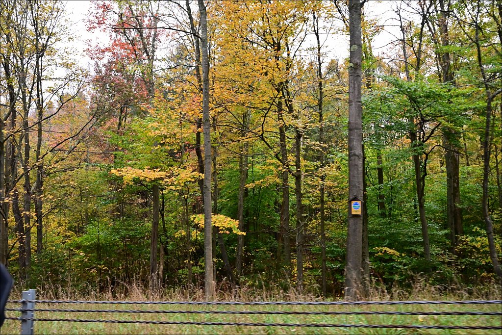 Fall 2024 Upstate NY