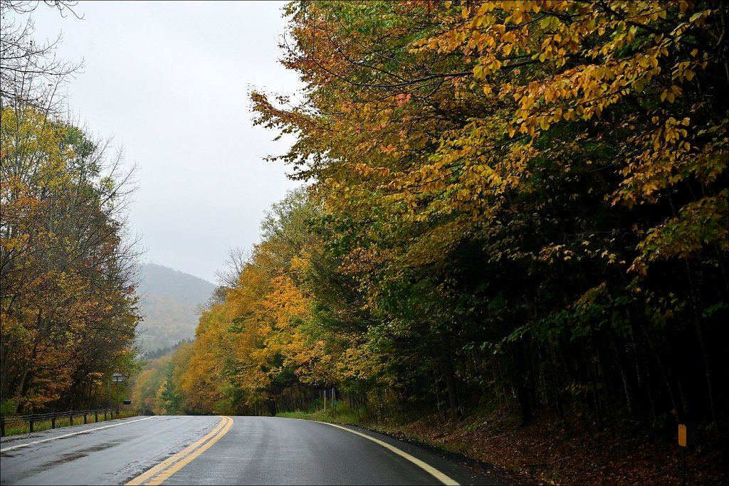 Fall 2024 Upstate NY