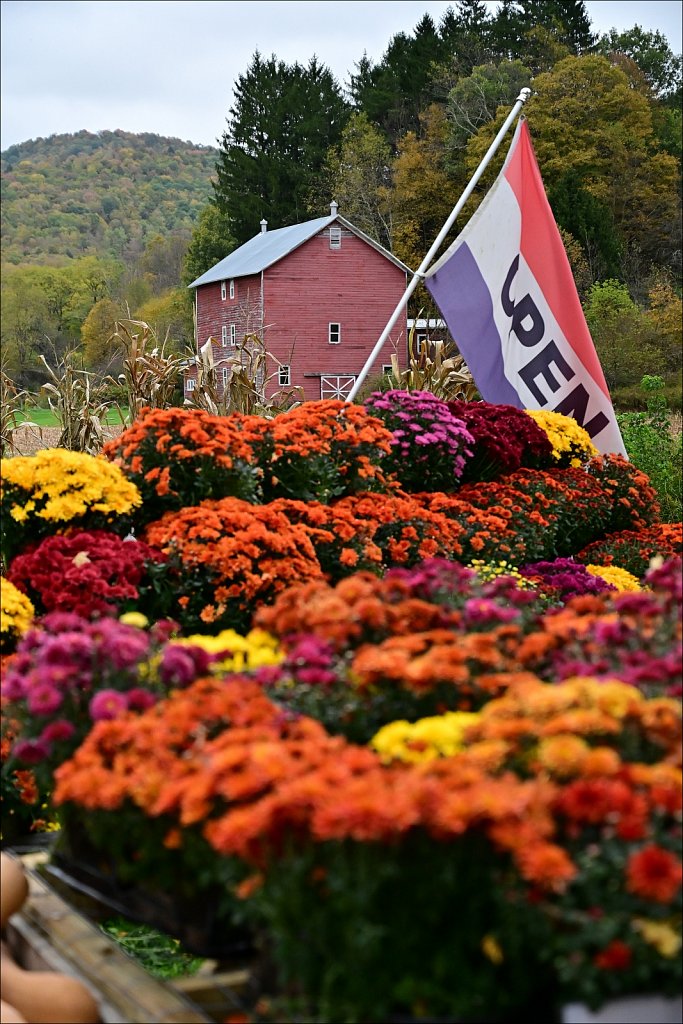 Fall 2024 Upstate NY