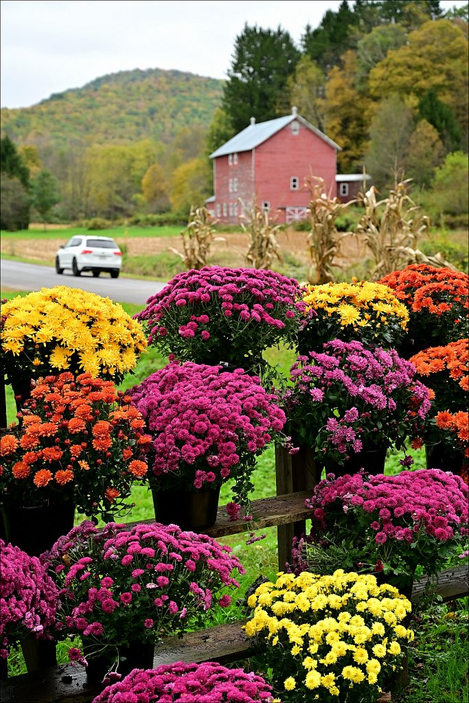 Fall 2024 Upstate NY