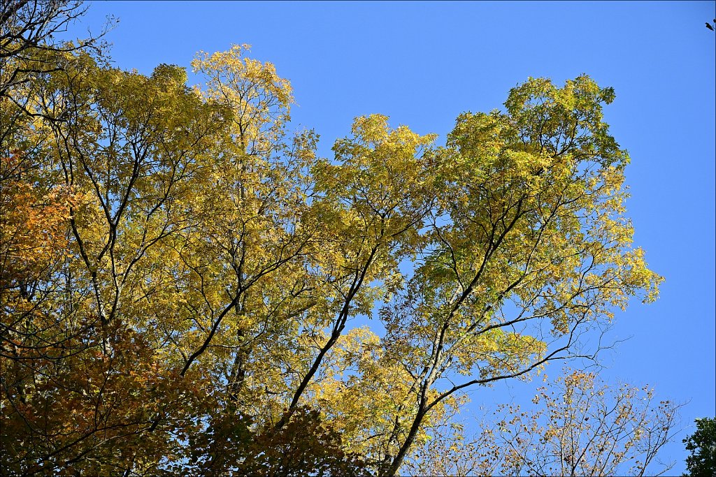 Stephens State Park