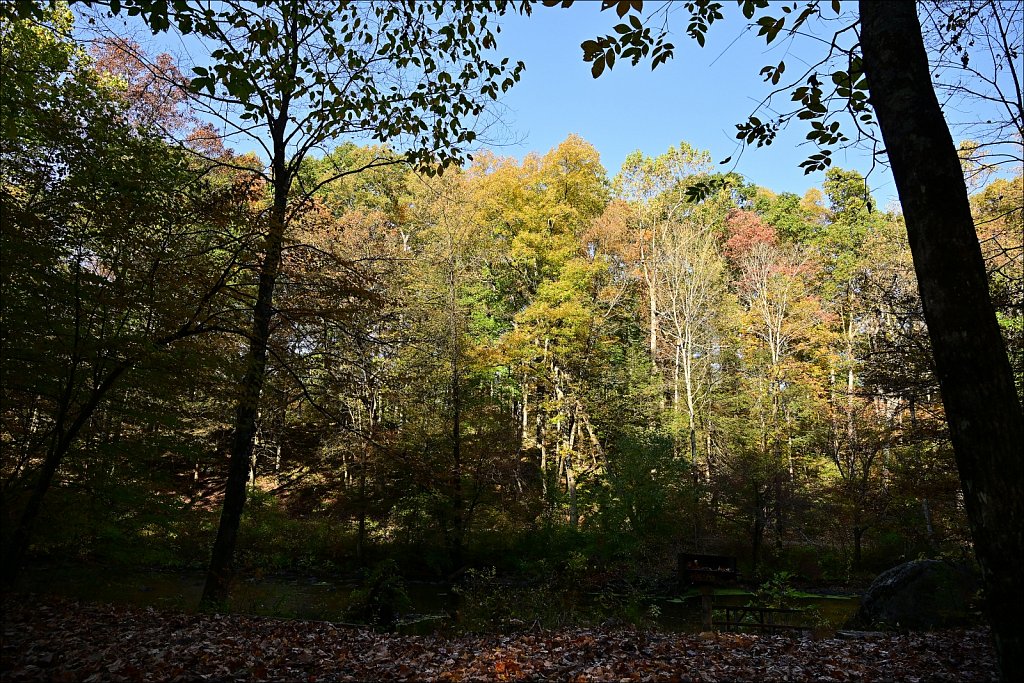 Stephens State Park
