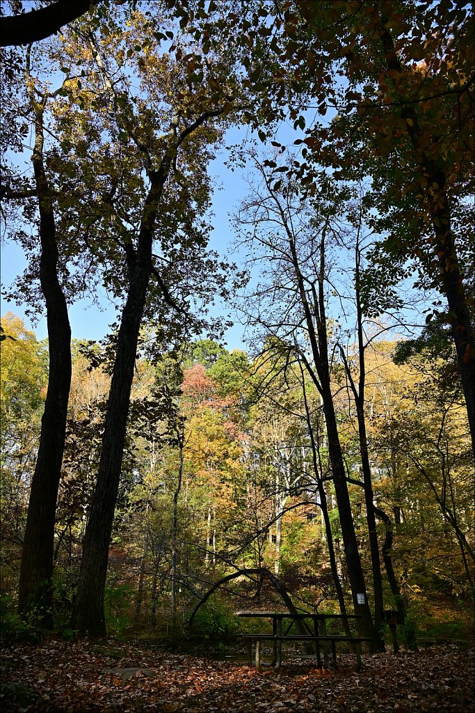 Stephens State Park