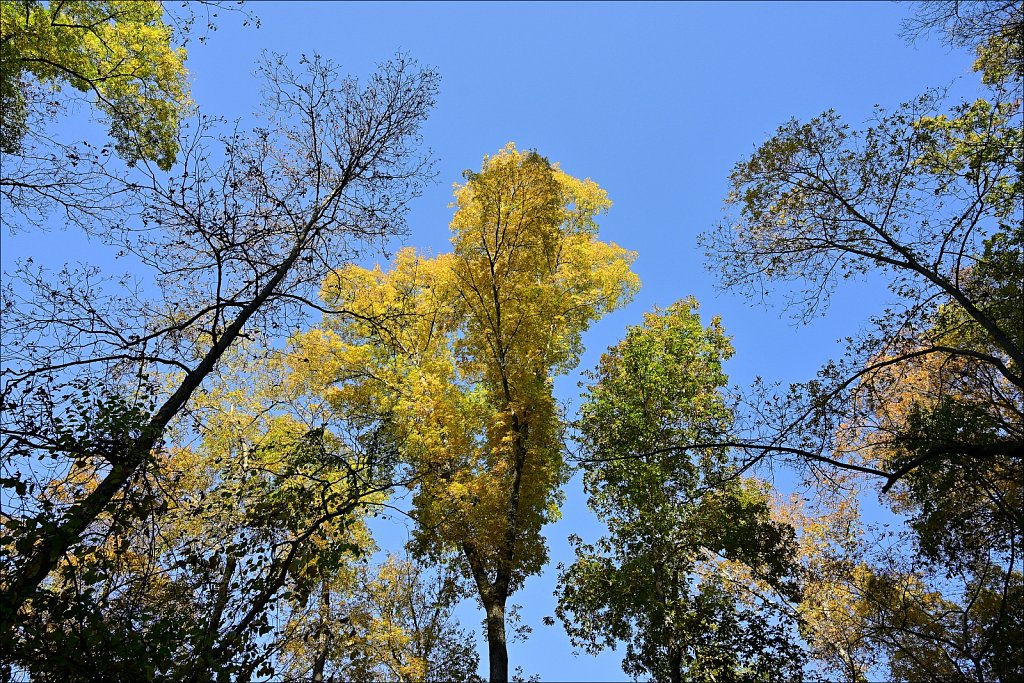 Stephens State Park