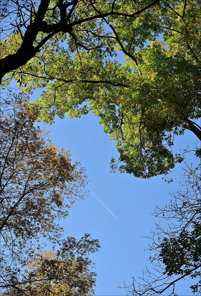 Stephens State Park