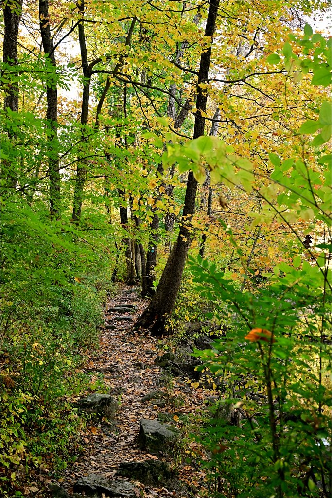 Stephens State Park