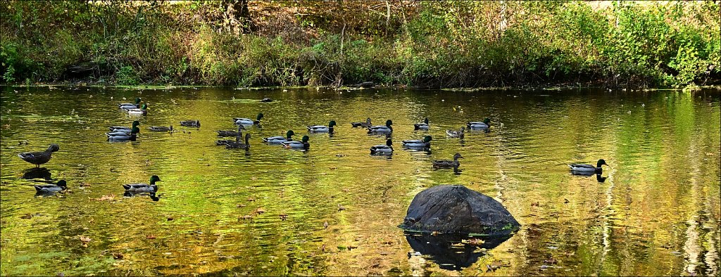 Stephens State Park