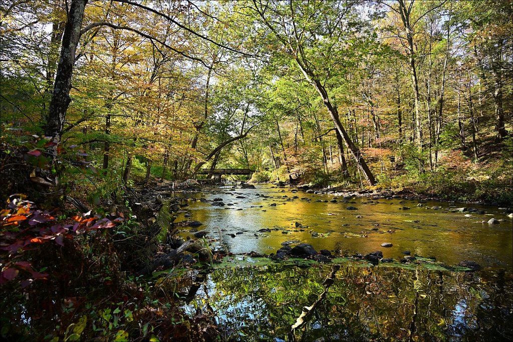 Stephens State Park