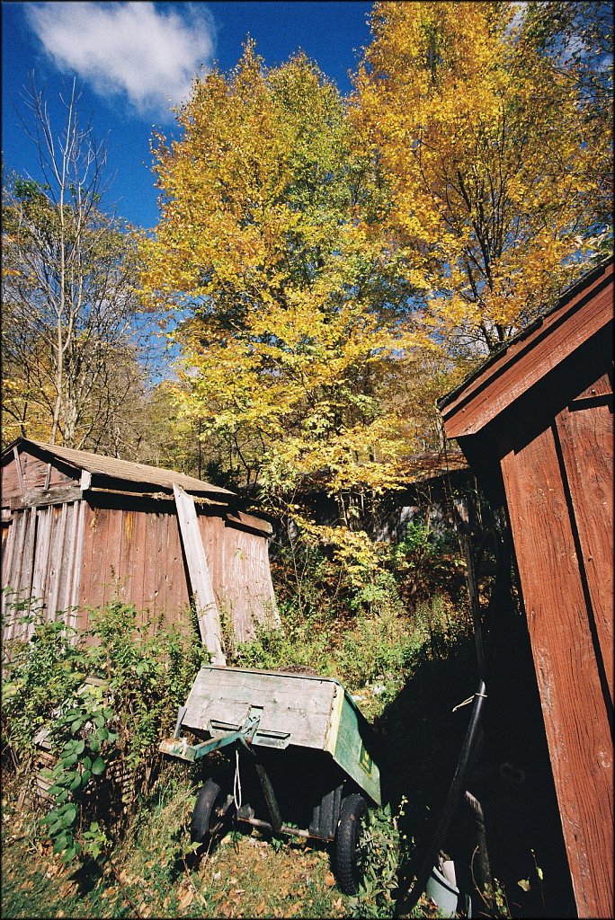 Fall 2024 Upstate NY  