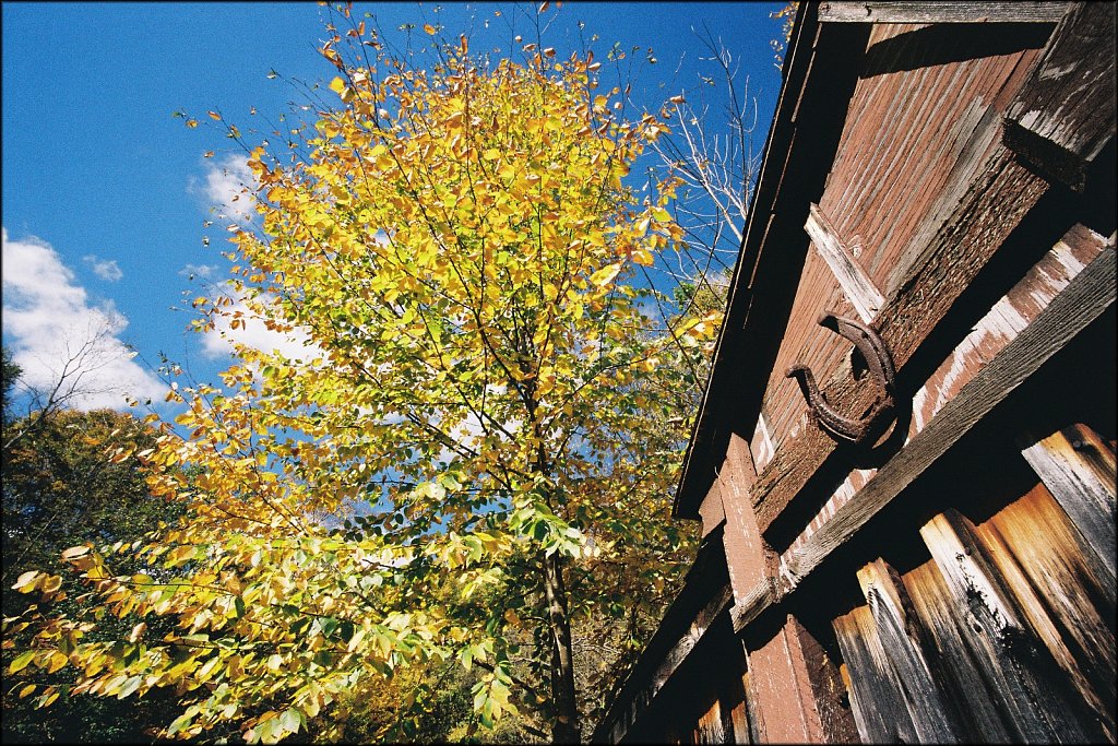 Fall 2024 Upstate NY  
