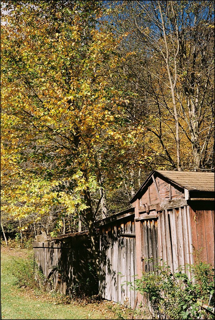 Fall 2024 Upstate NY  