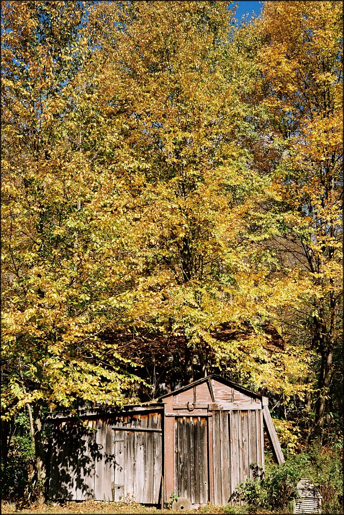 Fall 2024 Upstate NY  