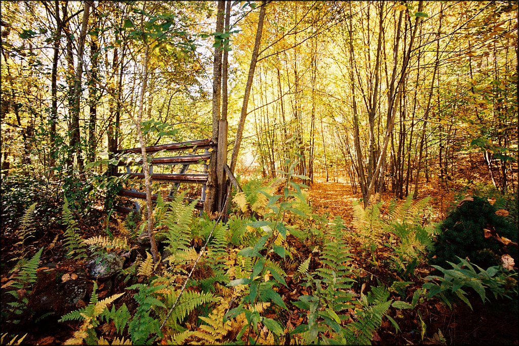 Fall 2024 Upstate NY  