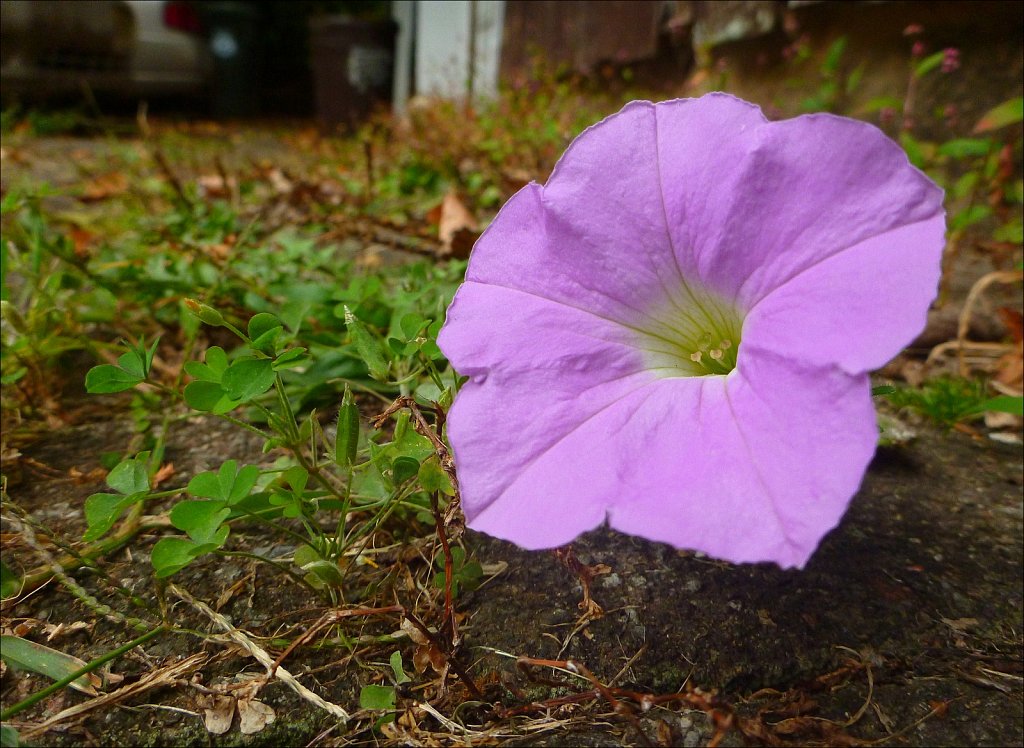 2024262F-P1000818.jpg