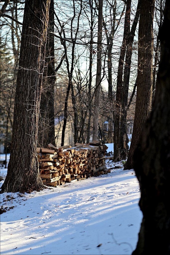 Backyard Walk