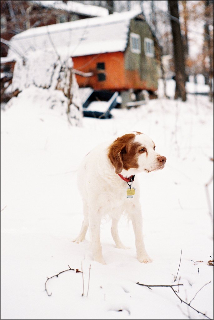 Leica IIF first roll test