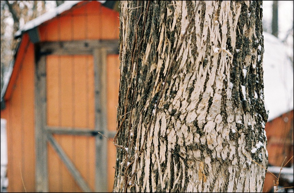 2nd Roll Leica IIF test