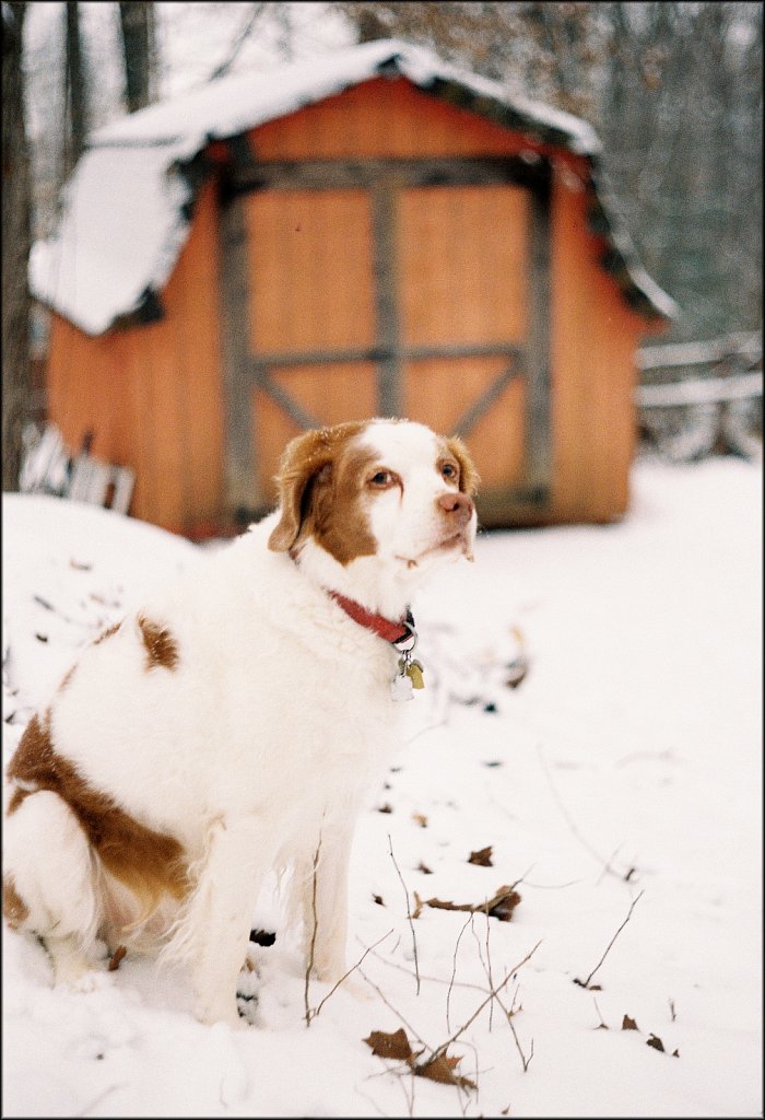2nd Roll Leica IIF test