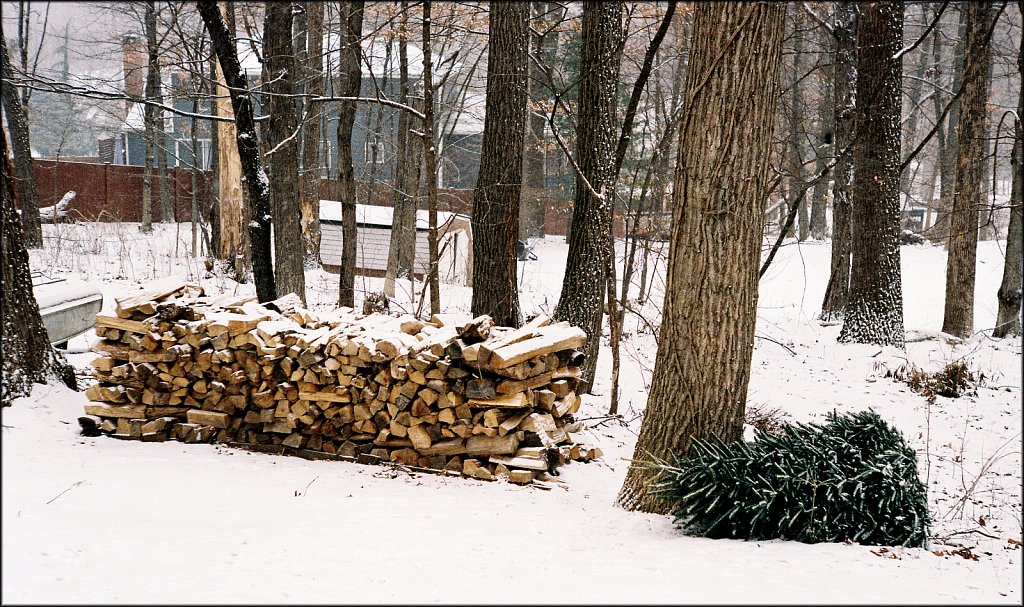 Leica IIIF test