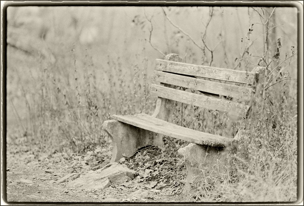 Along the Sussex Branch Trail