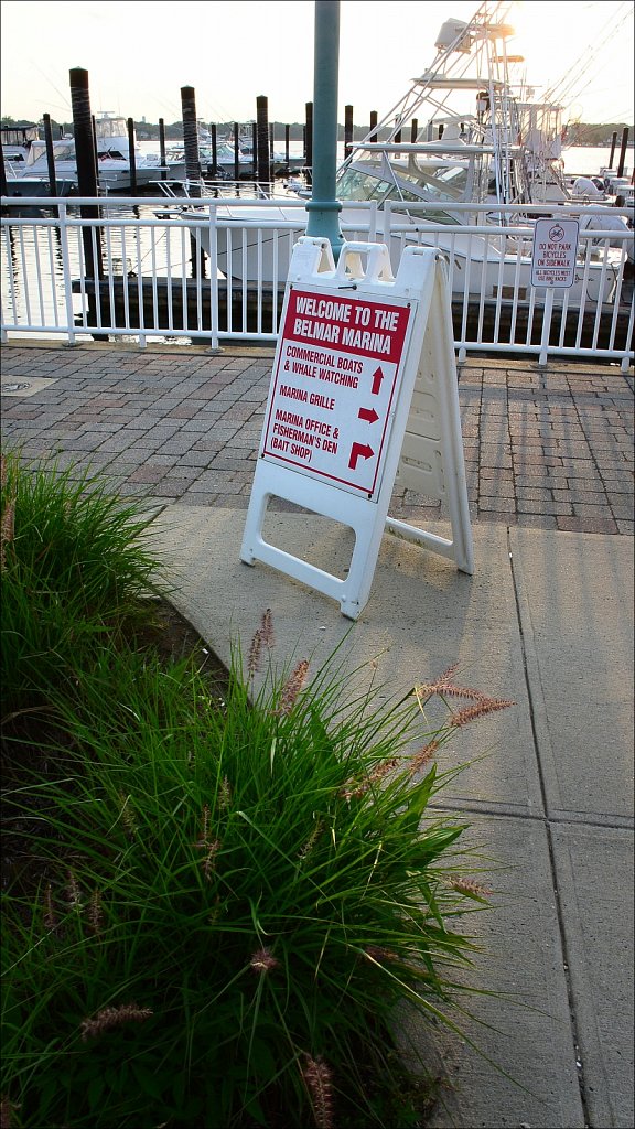 Belmar Marina