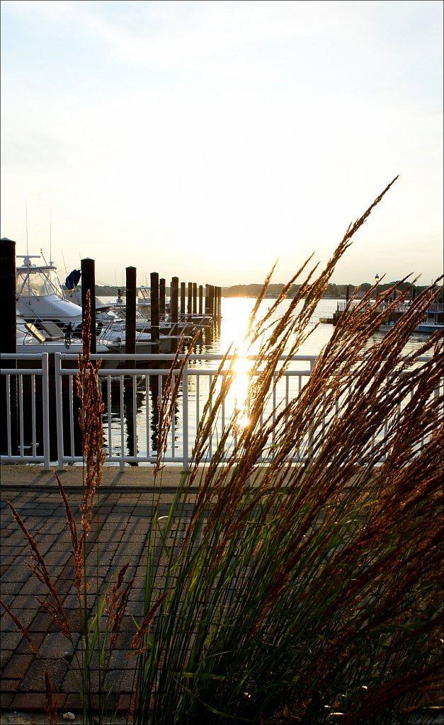 Belmar Marina