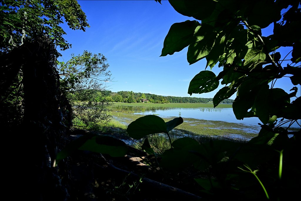 Saugerties Lighthouse & Ruth Reynolds Glunt Nature Preserve