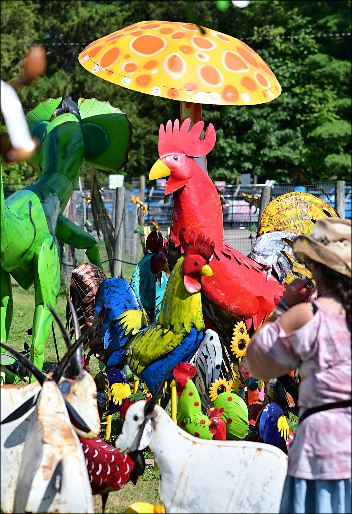 2025 Delaware County Fair