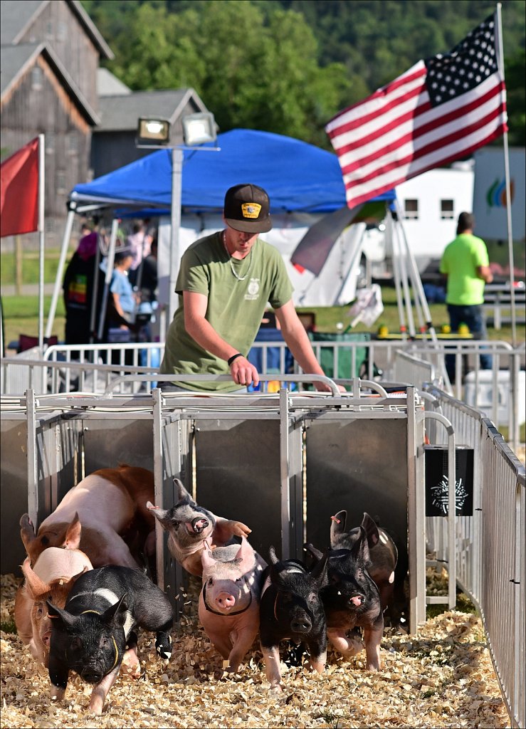 2025 Delaware County Fair