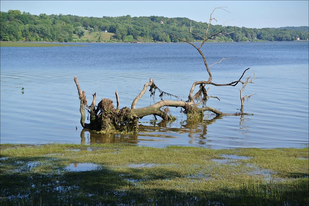 Saugerties Lighthouse & Ruth Reynolds Glunt Nature Preserve