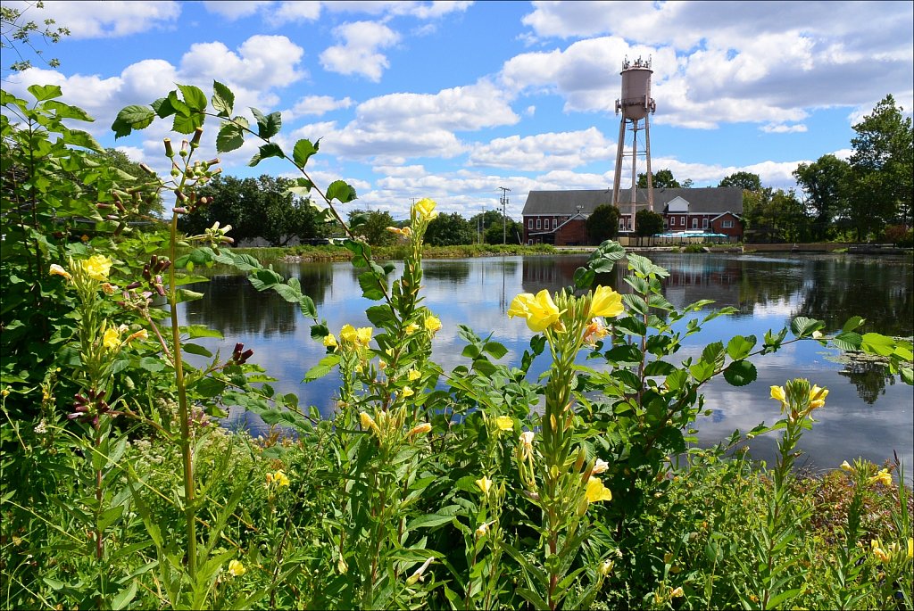 Washington Pond