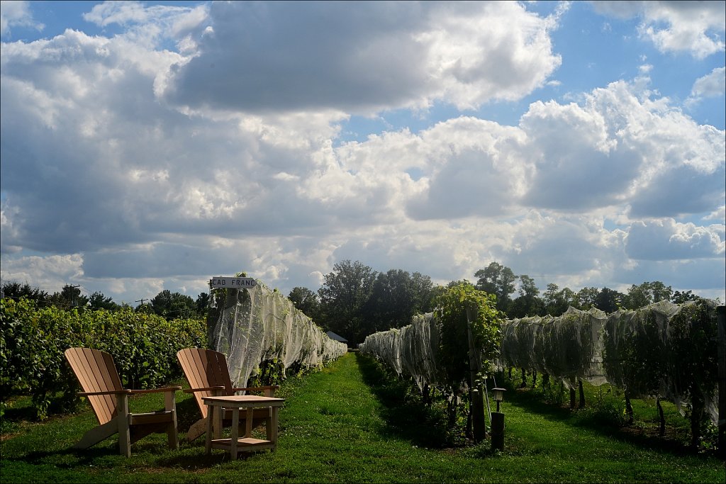 Bishop Estate Vineyard and Winery 