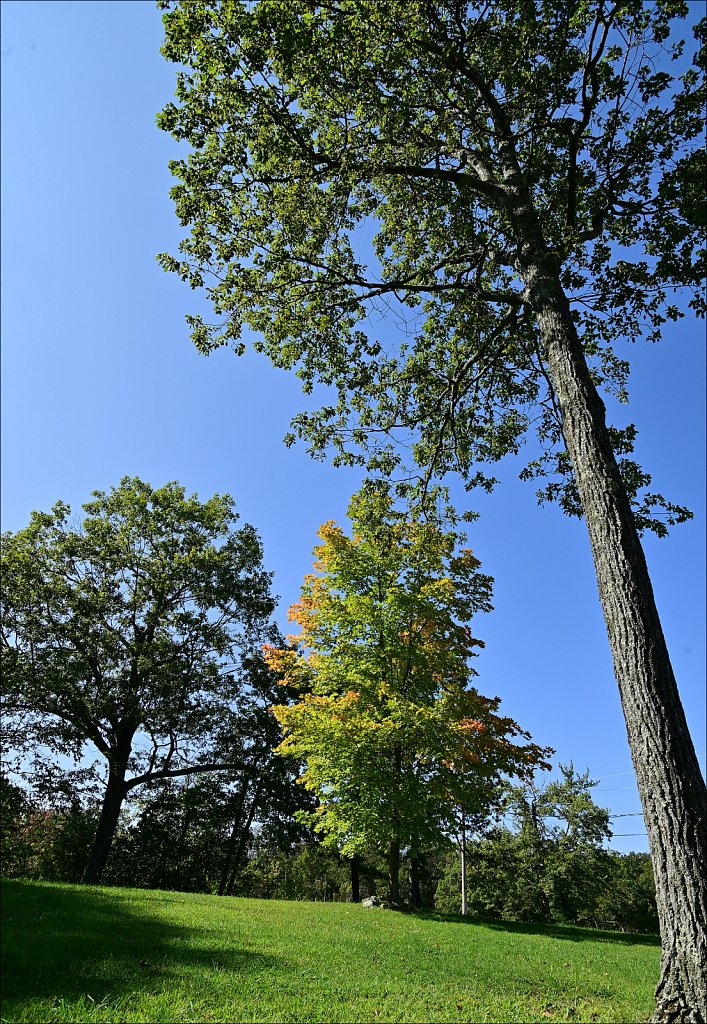 High Point State Park 