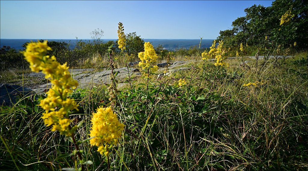 High Point State Park 