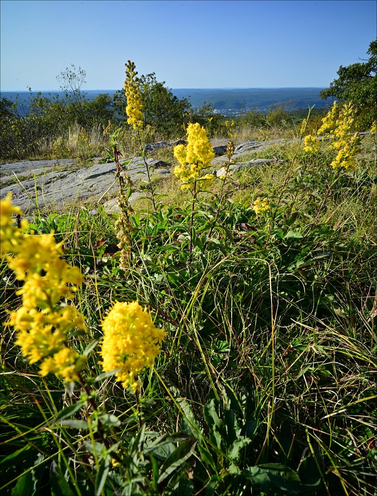 High Point State Park 