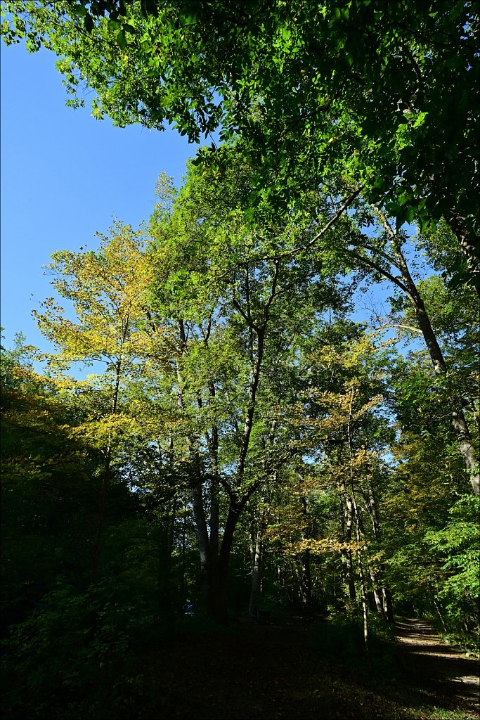 Stephen State Park