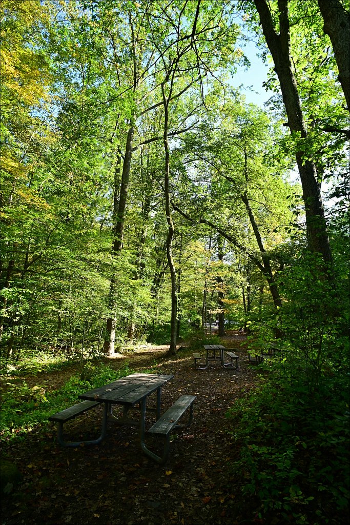 Stephen State Park