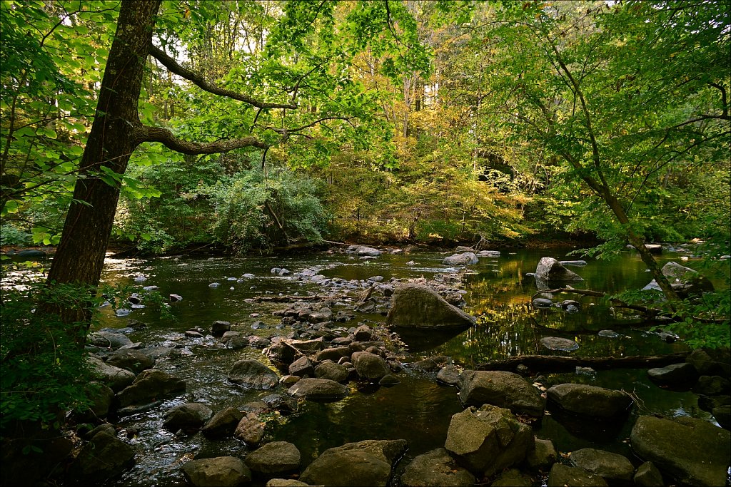Stephen State Park