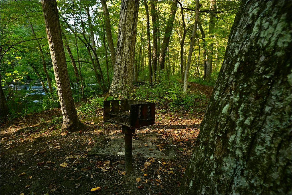 Stephen State Park