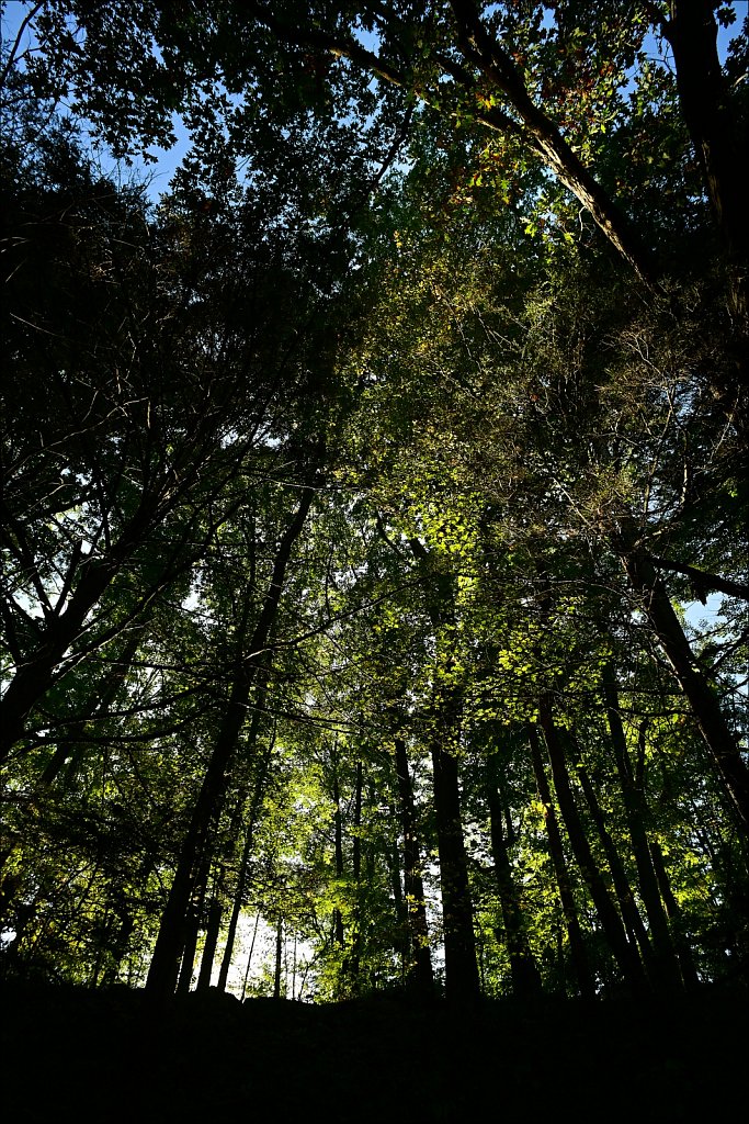 Stephen State Park