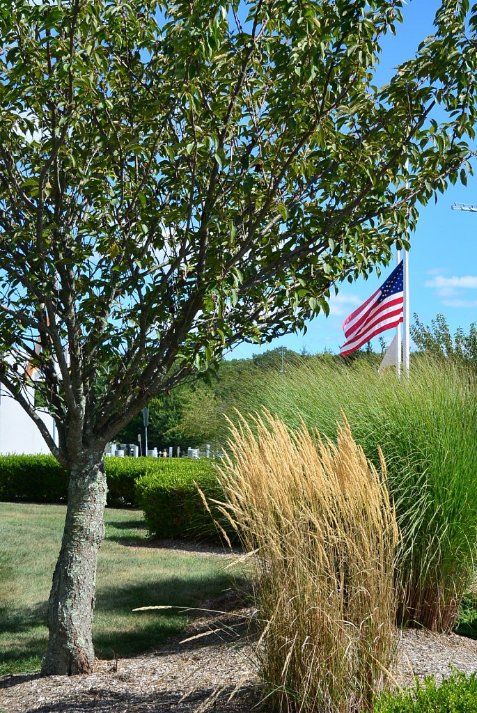 All Veterans Memorial