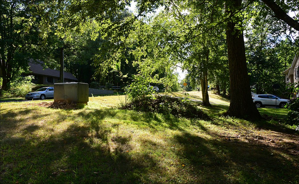 Backlit Yard