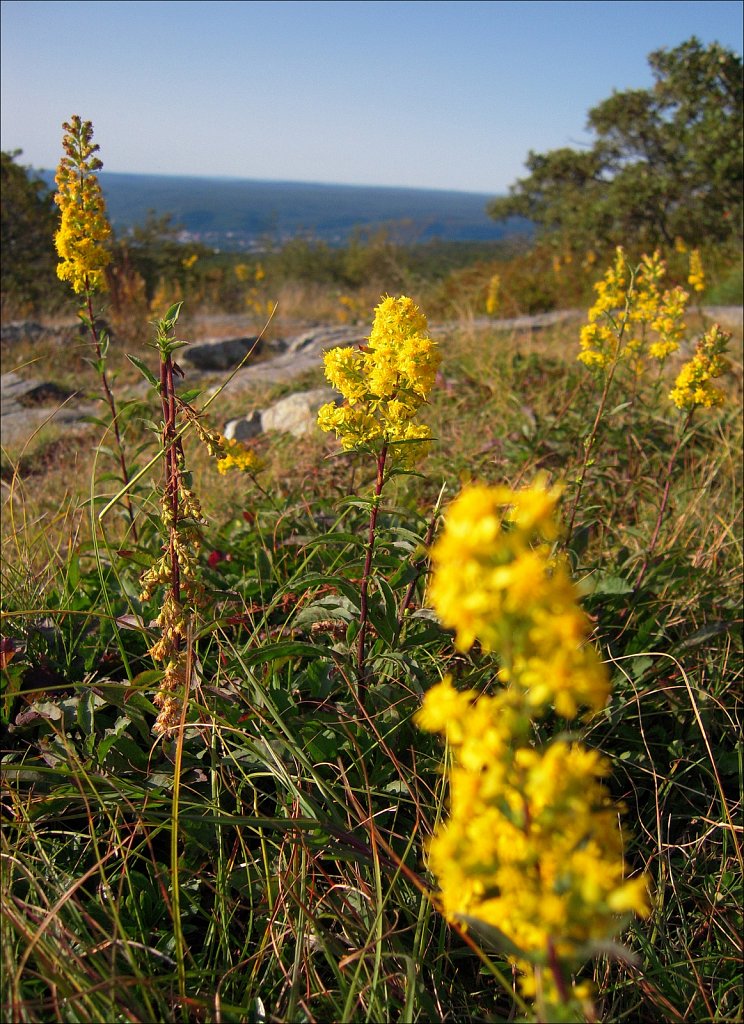 High Point State Park